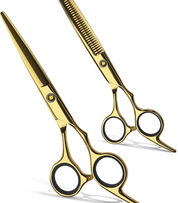 Anhaa Hair Cutting Scissors & Thinning Shears Kit | Professional Barber Hairdressing Set | Japanese Stainless Steel 6.5 Inch | A100.9